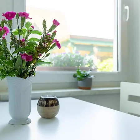 Sonnenblumenhaus Prerow
