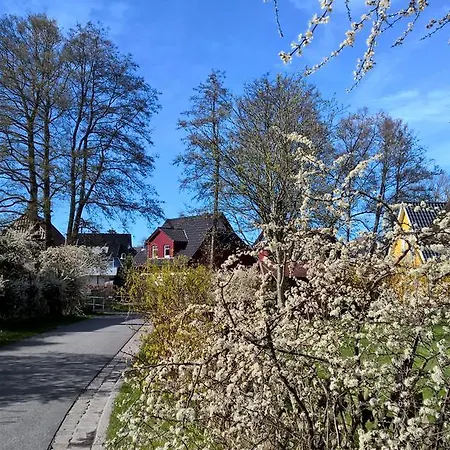 Διαμέρισμα Sonnenblumenhaus