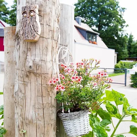Sonnenblumenhaus Διαμέρισμα *