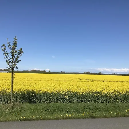 Sonnenblumenhaus Prerow