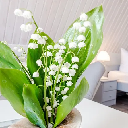 Sonnenblumenhaus Διαμέρισμα