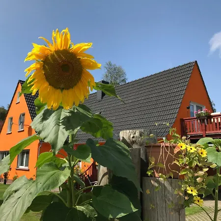 Sonnenblumenhaus *