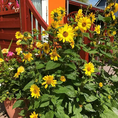 Sonnenblumenhaus